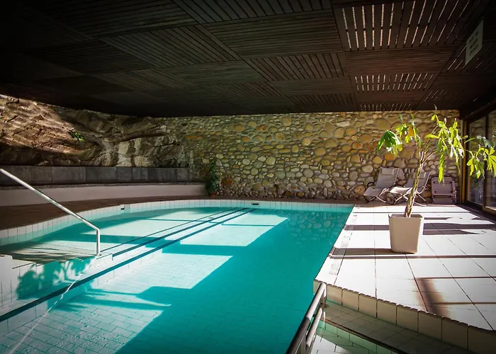 C05 Appartement Orselina