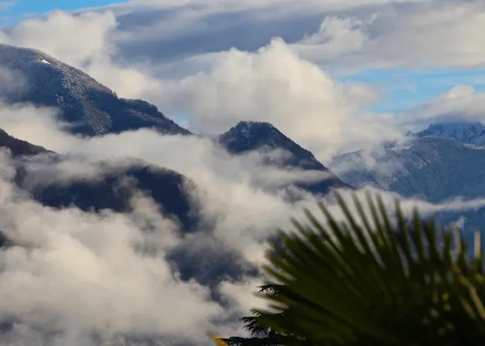 C05 Apartamento Orselina